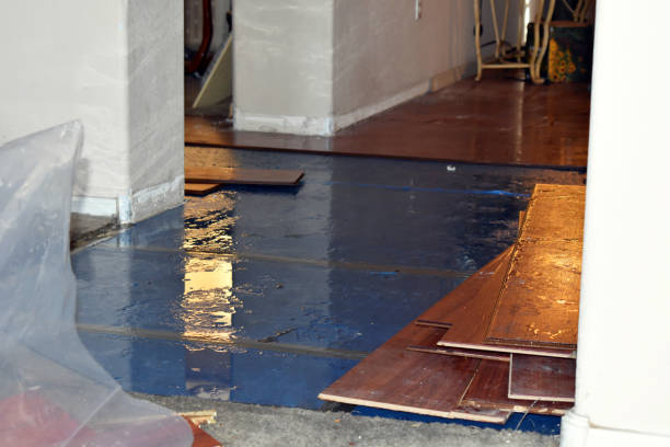 Professional Flood Damage Repair technician working in Oakland, RI